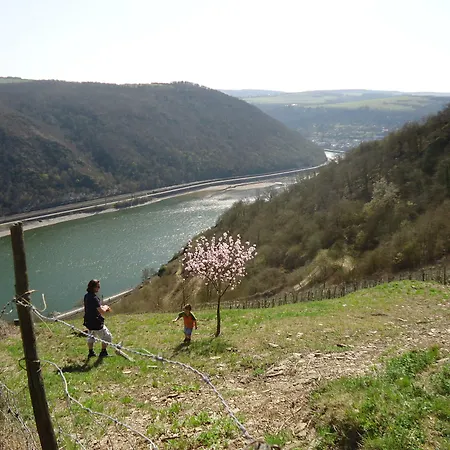 & Restaurant Beckmanns Winzerhaus