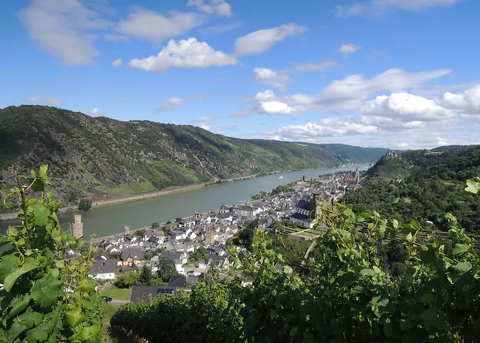 호텔 & Restaurant Beckmanns Winzerhaus Urbar (Rhein-Hunsruck)